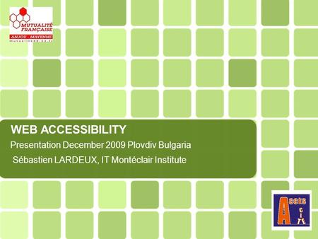 WEB ACCESSIBILITY Presentation December 2009 Plovdiv Bulgaria Sébastien LARDEUX, IT Montéclair Institute.