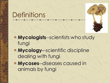 Definitions Mycologists--scientists who study fungi