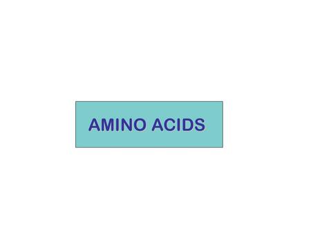 AMINO ACIDS.