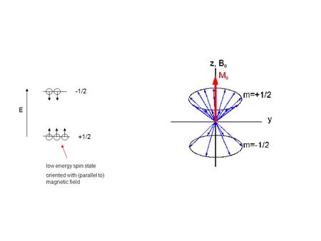 -1/2 E +1/2 low energy spin state