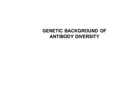 GENETIC BACKGROUND OF ANTIBODY DIVERSITY