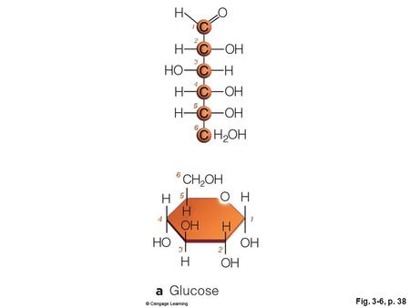 Fig. 3-6, p. 38. Fig. 3-5, p. 37 one of the estrogens Fig. 3-4, p. 37 testosterone.