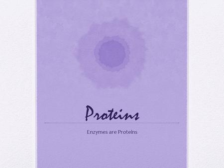 Proteins Enzymes are Proteins. Proteins Proteins: a chain of amino acids 20 different amino acids are found in proteins.