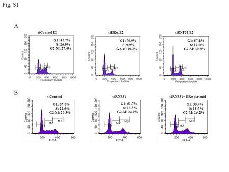 Fig. S1 siControl E2 G1: 45.7% S: 26.9% G2-M: 27.4% siER  E2 G1: 70.9% S: 9.9% G2-M: 19.2% G1: 57.1% S: 12.0% G2-M: 30.9% siRNF31 E2 A B siRNF31 siControl.