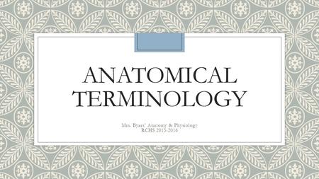 Anatomical Terminology