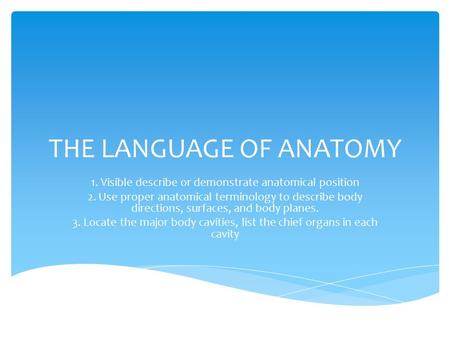 THE LANGUAGE OF ANATOMY