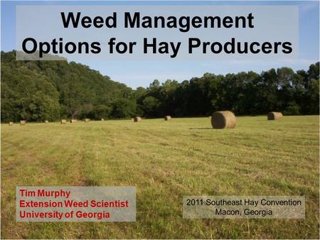 Weed Management Options for Hay Producers