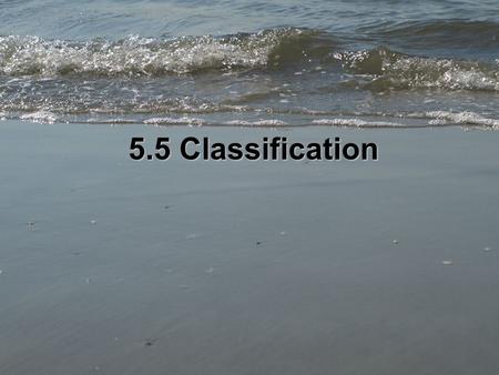 5.5 Classification. i. ii. iii. iv. A. B. C. D.