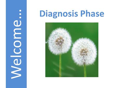 Welcome… Diagnosis Phase. Norms for the day… Ask questions Listen for understanding Apply to your school.