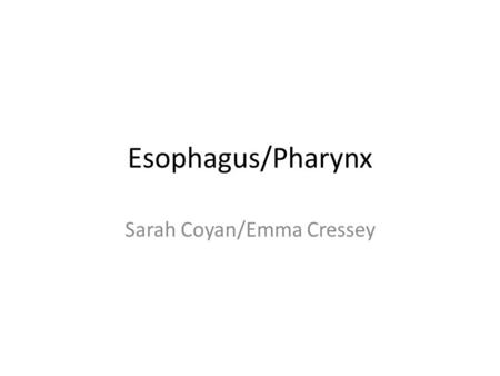 Sarah Coyan/Emma Cressey