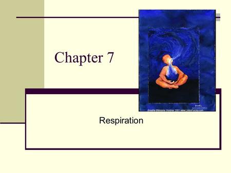 Chapter 7 Respiration.