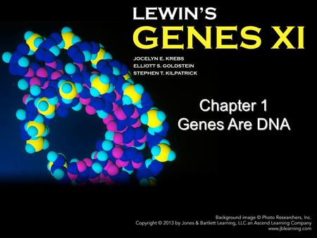 Chapter 1 Genes Are DNA. 1.1 Introduction chromosome – A discrete unit of the genome carrying many genes. –Each chromosome consists of a very long molecule.