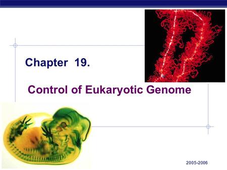 Control of Eukaryotic Genome