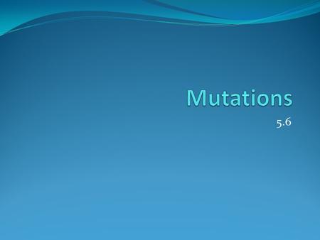 5.6. Introduction Mutation: error made in DNA sequence that is inherited. (Must be in the __________ cells). Could have deleterious side effects, no effects,