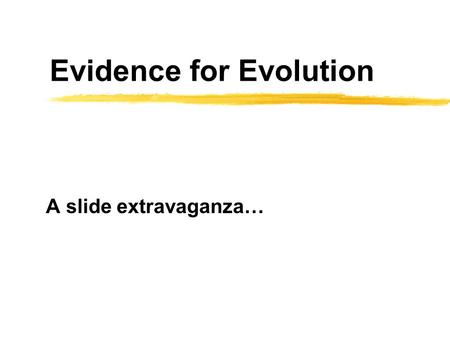 Evidence for Evolution A slide extravaganza…. Types of evidence… z1. Evidence from the fossil record (dead things)