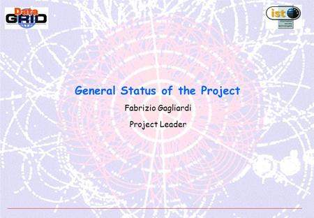 General Status of the Project Fabrizio Gagliardi Project Leader.