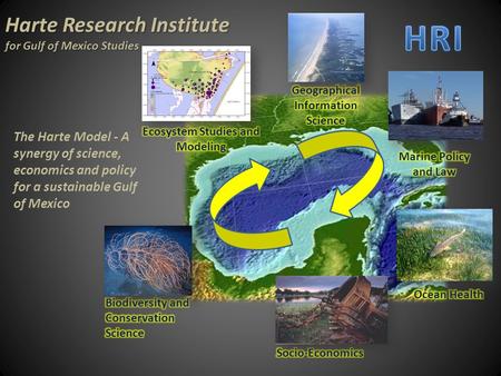 Harte Research Institute for Gulf of Mexico Studies The Harte Model - A synergy of science, economics and policy for a sustainable Gulf of Mexico.