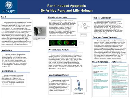 Par-4 Induced Apoptosis By Ashley Feng and Lilly Holman Par-4 Induced Apoptosis By Ashley Feng and Lilly Holman Par-4 Overexpression of the prostate apoptosis.