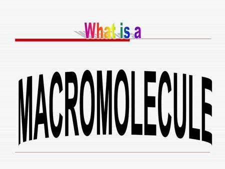 What do these words mean? Polygons Polygamy Polyester Polymer….