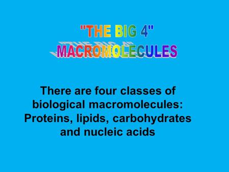 There are four classes of biological macromolecules: Proteins, lipids, carbohydrates and nucleic acids.