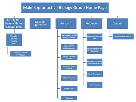 Male Reproductive Biology Group Home Page Faculty Bios Faculty Photos Group Photo Choudhry Lishko Smith Tran Faculty Specific Homepage Mission Statement.