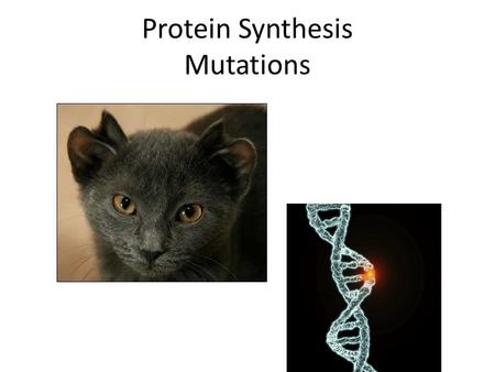 Protein Synthesis Mutations. Mutagens: factors that can produce gene mutations… a) UV radiation b) X rays c) Chemicals such as pesticides Mutation: a.