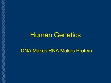 Human Genetics DNA Makes RNA Makes Protein. Terminology Review  Chromosome  Threadlike structures in the nucleus that carry genetic information  Gene.