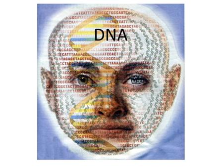 DNA.