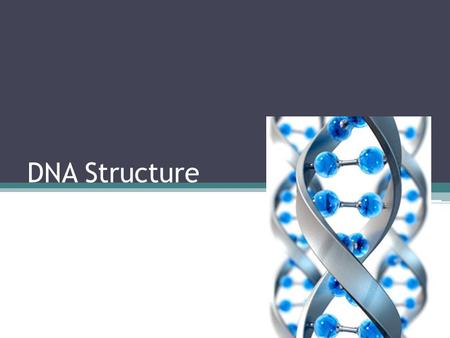 DNA Structure.