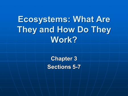 Ecosystems: What Are They and How Do They Work?