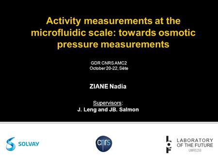 1 GDR CNRS AMC2 October 20-22, Sète ZIANE Nadia Supervisors: J. Leng and JB. Salmon.