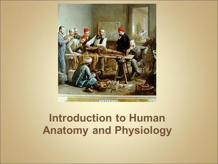 Introduction to Human Anatomy and Physiology. Anatomy – the structure of body parts (also called Morphology) Physiology – the function of the body parts,