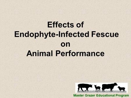 Effects of Endophyte-Infected Fescue on Animal Performance Master Grazer Educational Program.