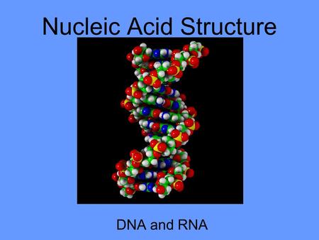 Nucleic Acid Structure