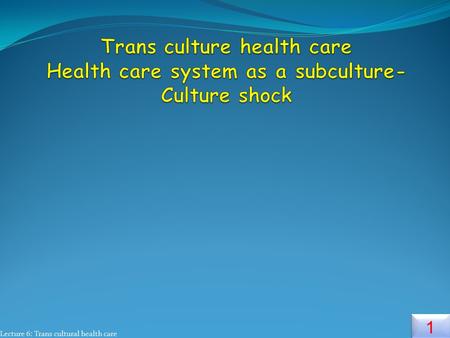 Lecture 6: Trans cultural health care 1 1. 2 2 Sub Cultures  It refer to a smaller group within a larger cultural group that has its own particular set.