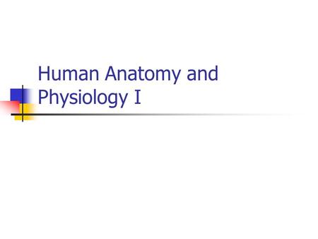 Human Anatomy and Physiology I. Dr. Diane M. Gilmore LSE 415 Phone: 680-8083