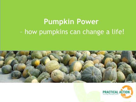 Title Pumpkin Power – how pumpkins can change a life!