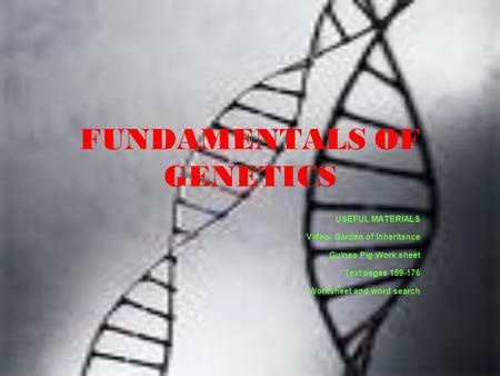 FUNDAMENTALS OF GENETICS USEFUL MATERIALS Video- Garden of Inheritance Guinea Pig Work sheet Text pages 159-176 Worksheet and word search.