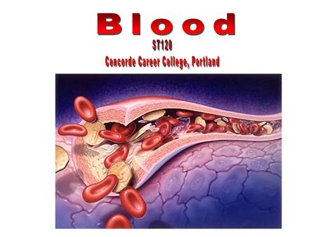 White blood cells Platelets Red blood cells Artery.