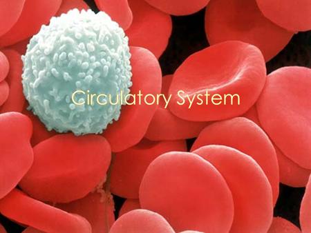 Overview – Every cell in a living organism must have direct access to its nutrient supply Single celled organisms – rely on simple diffusion to move materials.