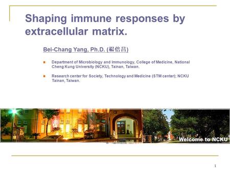 1 Shaping immune responses by extracellular matrix. Bei-Chang Yang, Ph.D. ( 楊倍昌 ) Department of Microbiology and Immunology, College of Medicine, National.