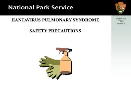 HANTAVIRUS PULMONARY SYNDROME SAFETY PRECAUTIONS.