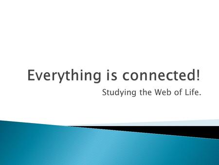 Studying the Web of Life..  Any nonliving thing is an abiotic factor. Write at least 4 examples 1. oxygen 2. carbon dioxide 3. sunlight, temperature.