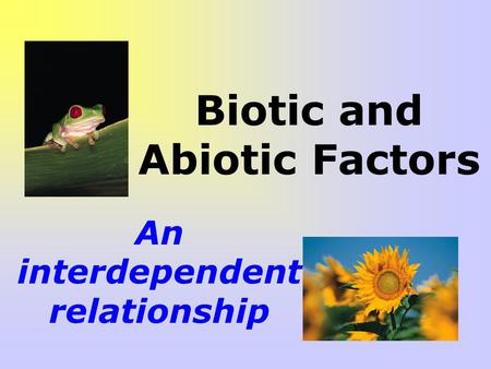 Biotic and Abiotic Factors