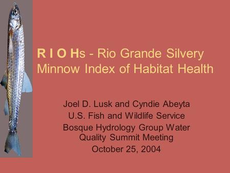 R I O Hs - Rio Grande Silvery Minnow Index of Habitat Health Joel D. Lusk and Cyndie Abeyta U.S. Fish and Wildlife Service Bosque Hydrology Group Water.