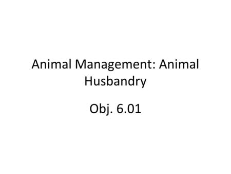 Animal Management: Animal Husbandry