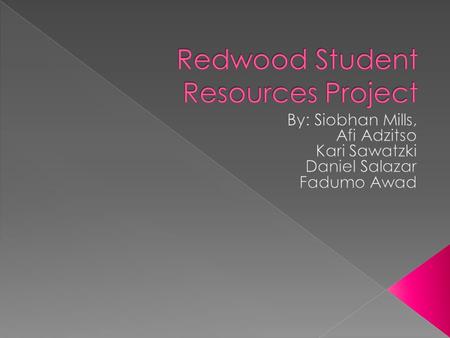  Learning interview strategies  Attending job skills related workshop  Interfacing with employment  Obtaining job referral  Will help with resume.