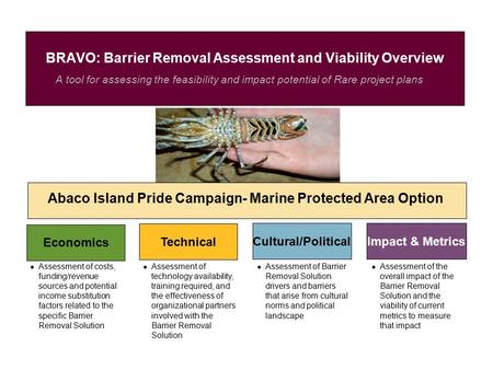 A tool for assessing the feasibility and impact potential of Rare project plans BRAVO: Barrier Removal Assessment and Viability Overview Abaco Island Pride.