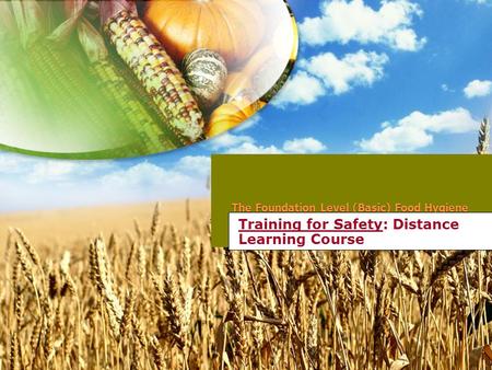 The Foundation Level (Basic) Food Hygiene Training for Safety: Distance Learning Course.