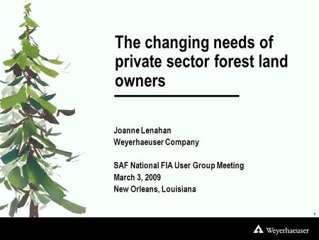 Joanne Lenahan Weyerhaeuser Company SAF National FIA User Group Meeting March 3, 2009 New Orleans, Louisiana 1 The changing needs of private sector forest.